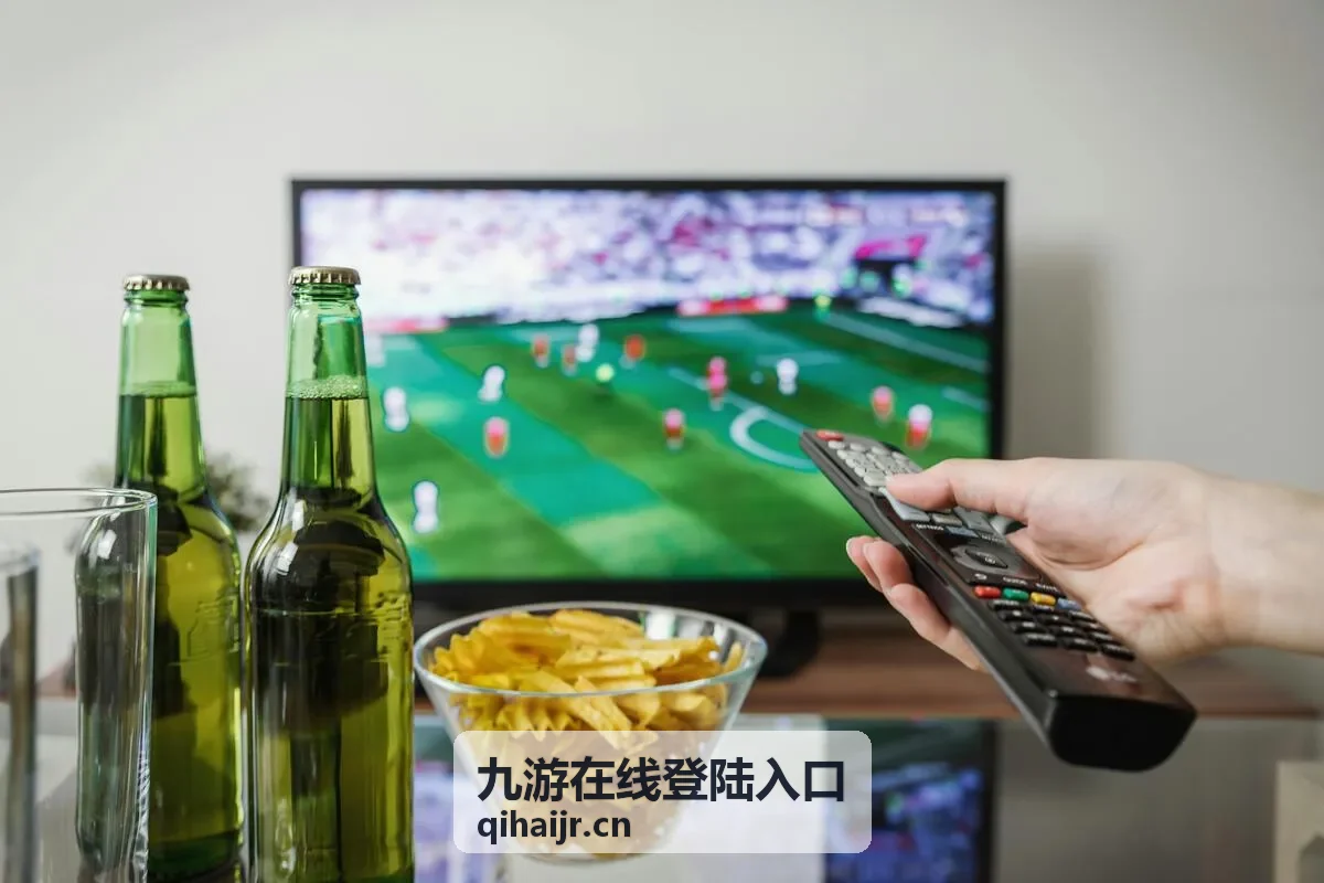 九游在线登陆入口账号验证流程示意图
